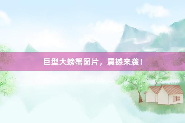 巨型大螃蟹图片，震撼来袭！